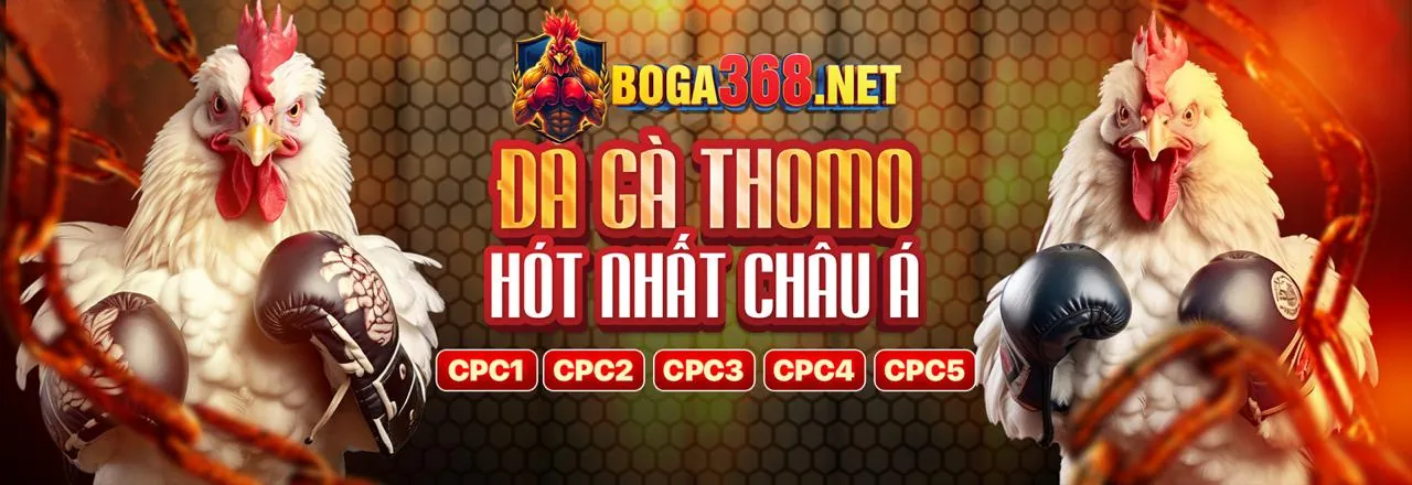 MCW777 Nhà Cái - Các Chương Trình Khuyến Mãi Hấp Dẫn