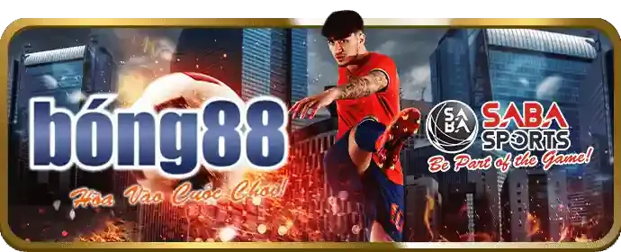 Thợ Săn Cá Mập